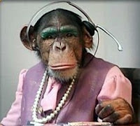 monkey in office wearing phone headset