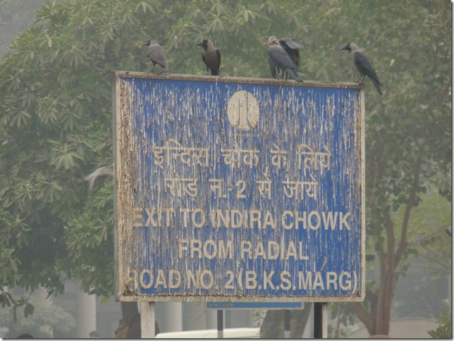 2008.12_india_0339