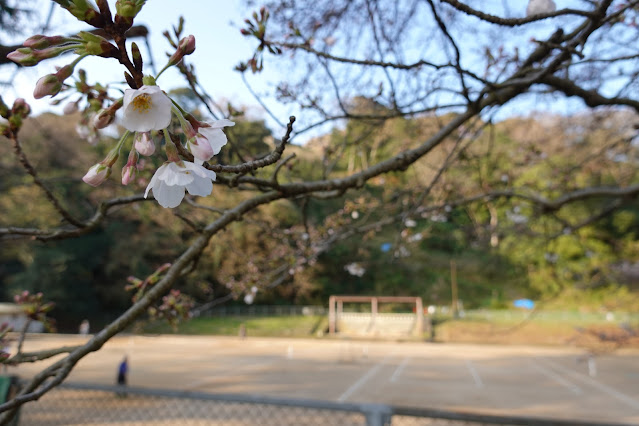 鳥取県米子市久米町 米子城 三の丸跡