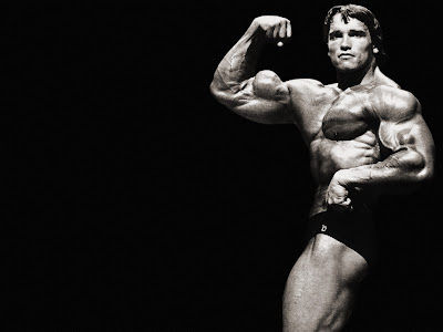 arnold schwarzenegger bodybuilding_2329. arnold schwarzenegger