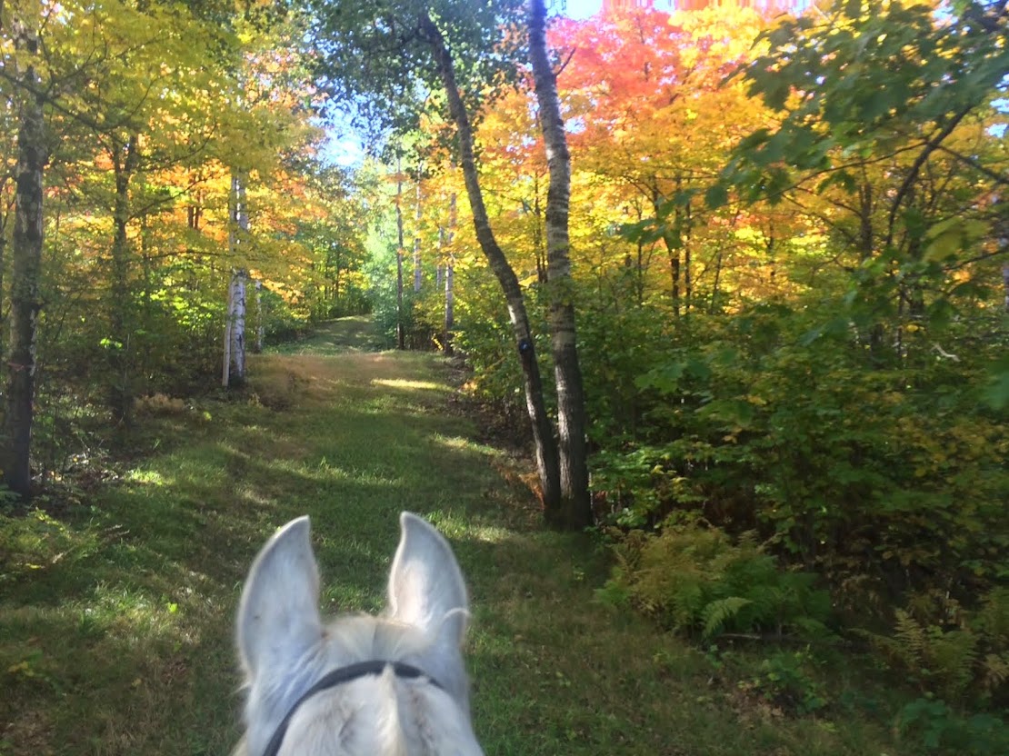 Fall Colors Between Rhio's Ears