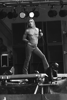 iggy, iggy pop, the stooges, stooges, rock, punk, music, photo