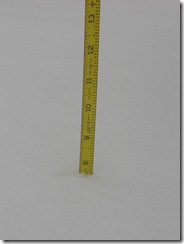 Feb 2011 044