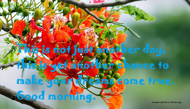 Unique good morning messages, good morning messages in english, good morning messages quotes, good morning messages for love, good morning messages for friends, good morning messages for friends with pictures, good morning wishes for friends, long good morning messages for her, special good morning wishes, good morning quotes, good morning msg
