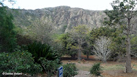 Garden overview - Koko Crater Botanical Garden, Oahu, HI