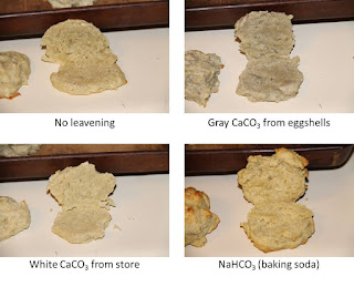 Biscuit texture comparison: no leavening, calcium carbonate, and baking soda