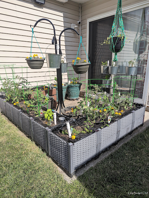 DIY self watering patio garden