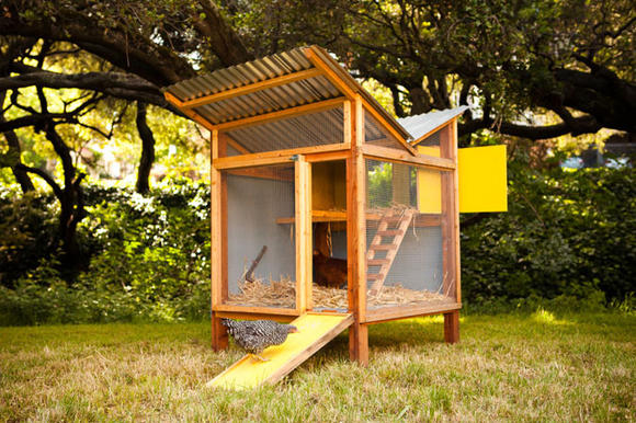  Chickens Lay Healthy Eggs: "Reinventing the Chicken Coop" a review