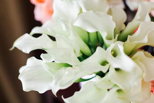 A classic Washington, DC wedding at St. Aloysius church and Top of the Town by Heather Ryan Photography