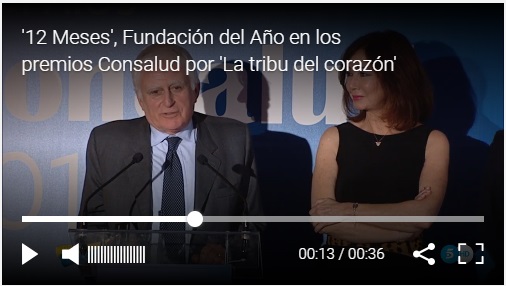 video de fundacion del año por 12 meses 12 causas