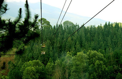  Cable Zipline 