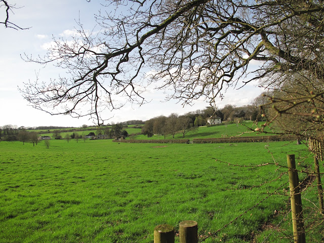 Where the rectory, the home of the Austen family, once stood.