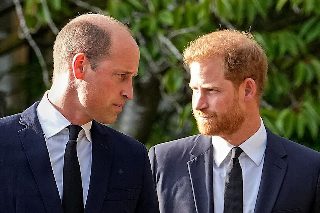Prince Harry and Prince William: The Final Warning from the Royal Family
