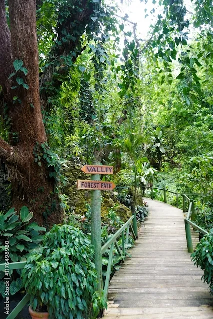 Calçadao-Jardim-Gigante-Adormecido-Fiji