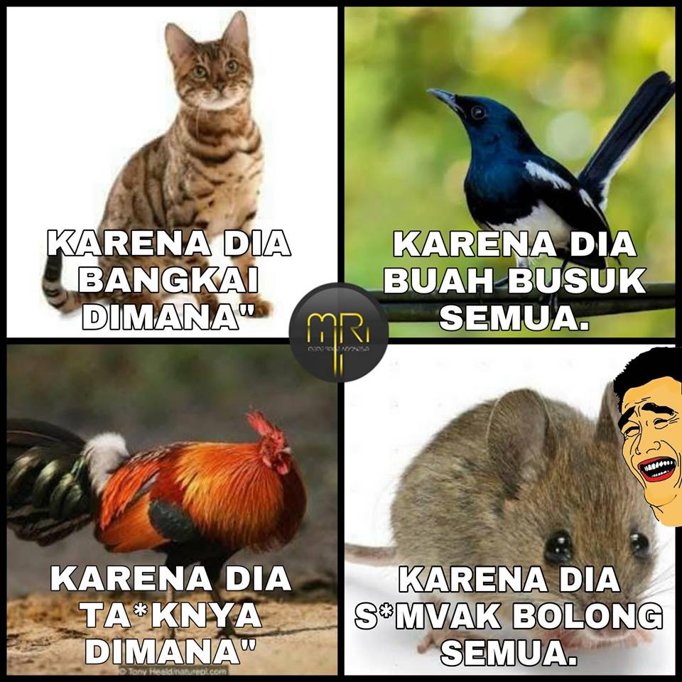 10 Meme Kocak Karena Dia Ini Menghibur Disaat Tanggal Tua Lucu