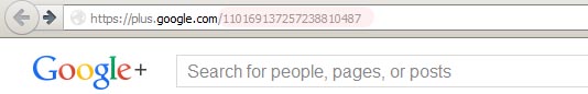 Google Plus One ID