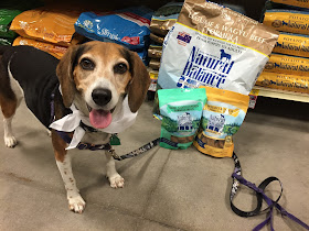 Natural Balance is available at your local PetSmart, and at PetSmart.com.