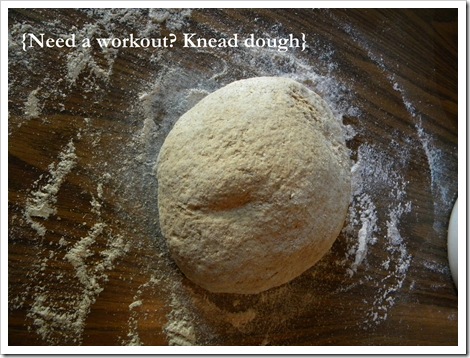 knead dough