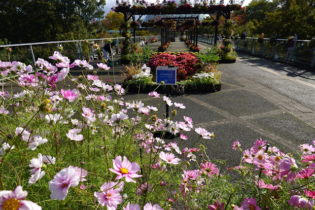 鳥取県西伯郡南部町鶴田　とっとり花回廊　エントランス展示