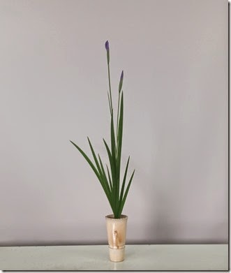 生活の中に花を 岐阜県多治見市池坊いけばな稽古日記 生け花教室 華道教室 生花一種生け 花菖蒲 生け方