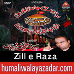 http://www.humaliwalayazadar.com/2015/06/zille-raza-nohay-2016.html