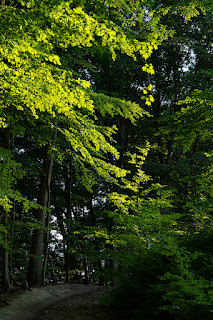 Naturfotografie Weserbergland Aerzen Olaf Kerber