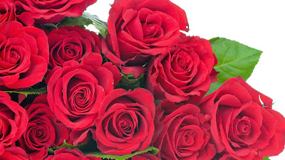 Chennai Online Florist Red Roses