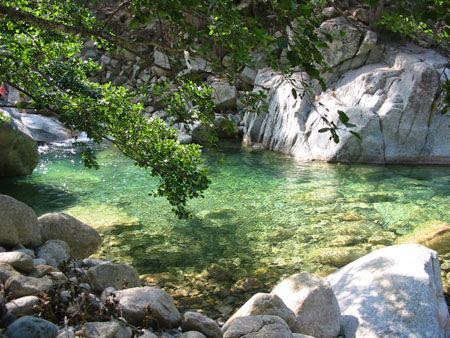 Rivière en montagne