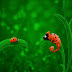 Test Post