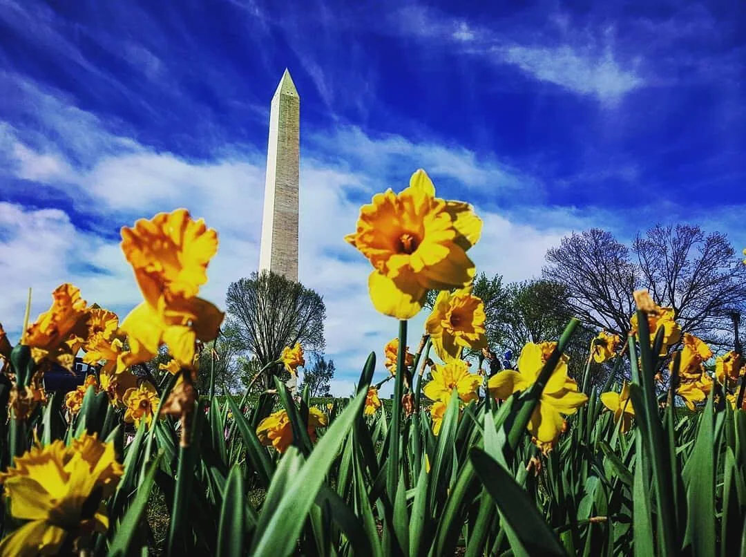 Washington DC HD Wallpaper