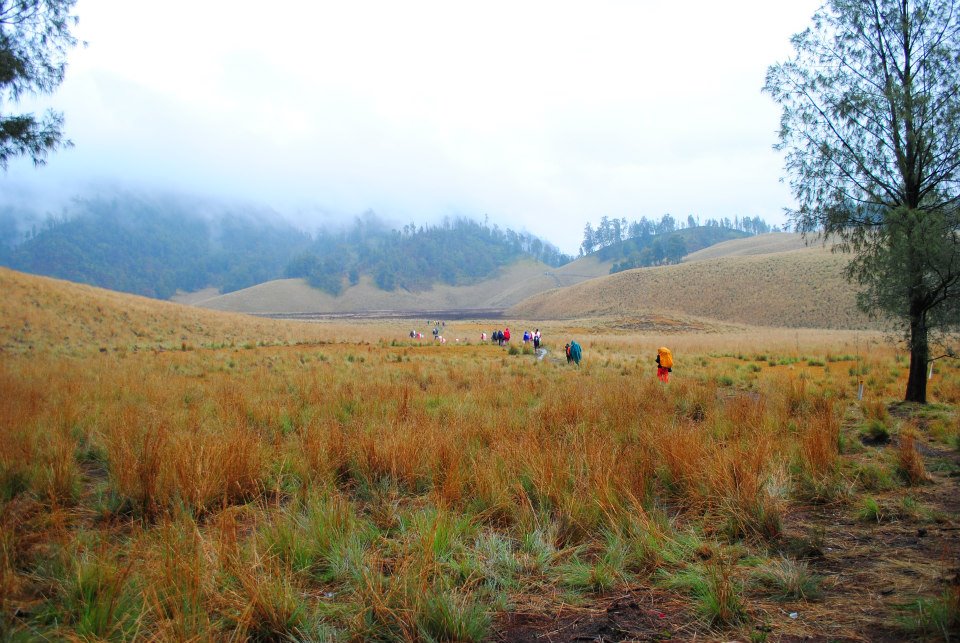 Pejuang Pena Mahameru  Puncak abadi para dewa