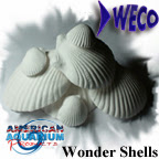 Aquarium Wonder Shell by AAP