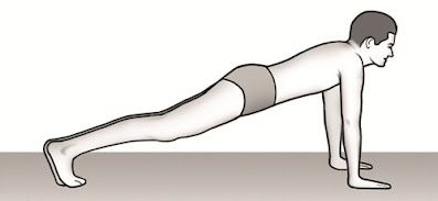 Chaturanga Dandasana