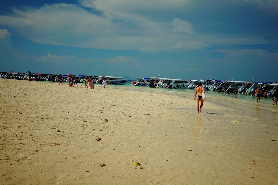 Phi phi one day speedboat tour