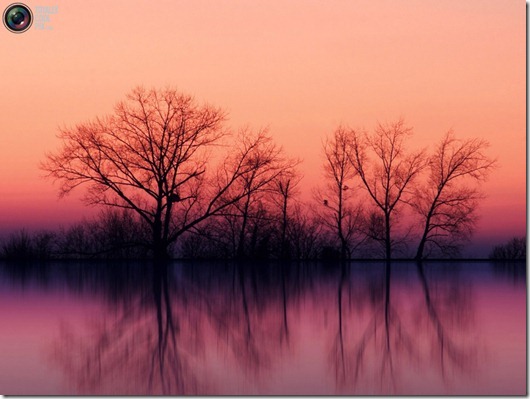 clip_image009