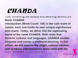 meaning of the name "CHANDA"