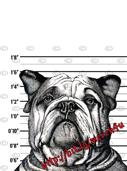 Bulldog Mugshot IV