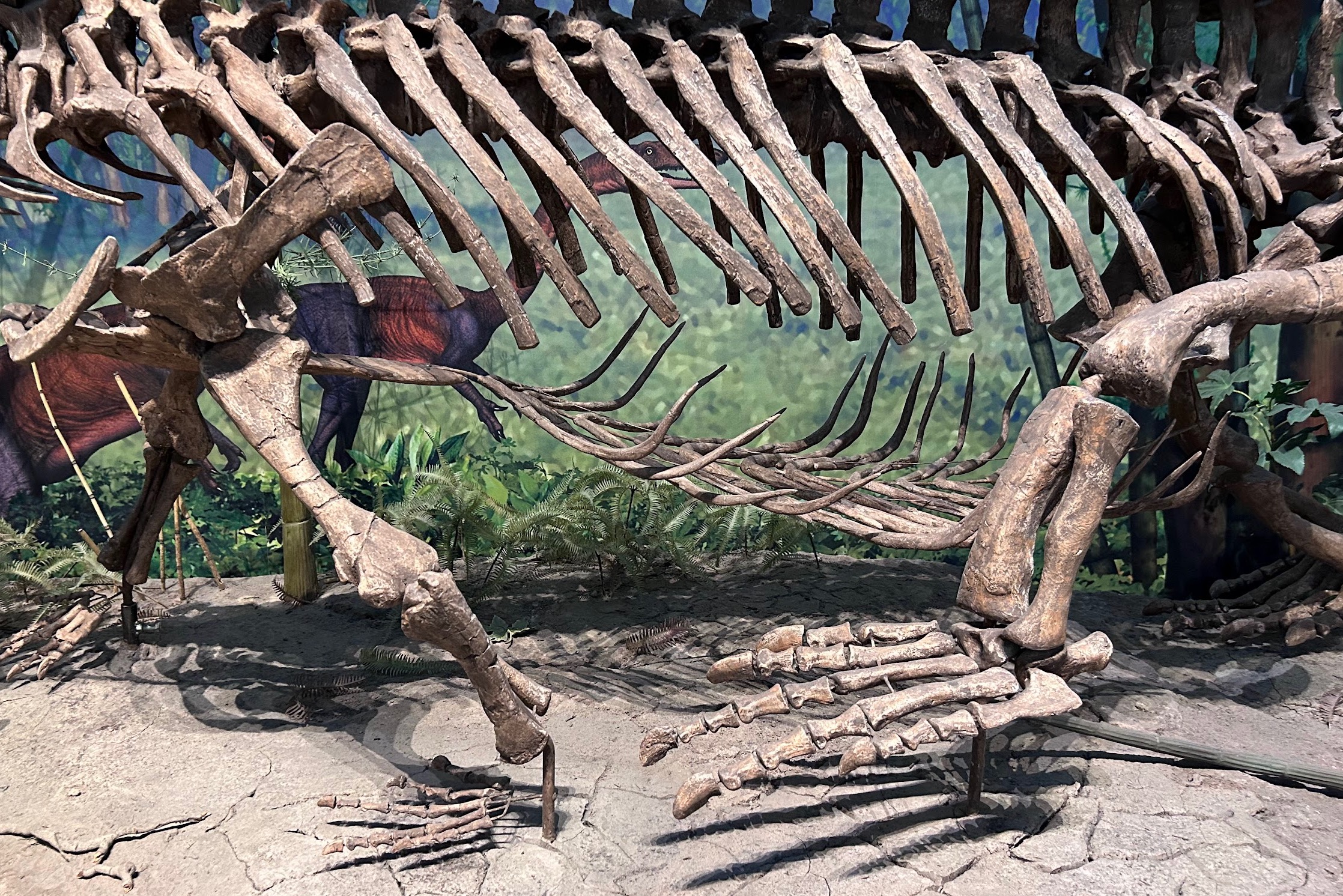 SearchReSearch: Answer: What's that in the belly of the Redondasaurus?