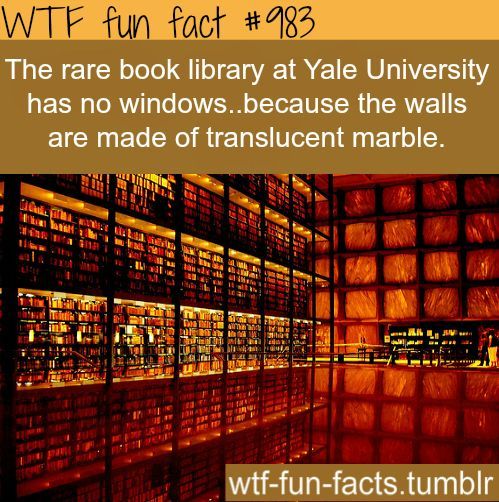 40 Amazing Random WTF Facts