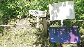 奈良公園 萬葉植物園