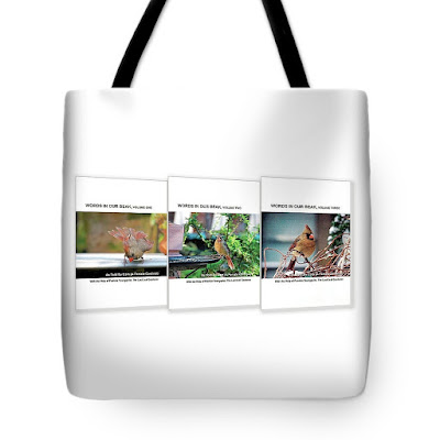 This is photograph features a tote bag that has an image of my book series printed on it. It is available for purchase via Fine Art America. https://fineartamerica.com/featured/words-in-our-beak-covers-patricia-youngquist.html?product=tote-bag