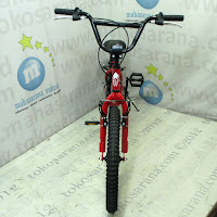 20 evergreen m1 bmx