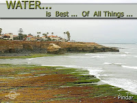 Best Ever Water Quote Water Is Best Of All Things