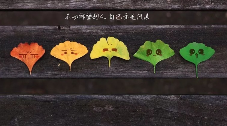 clip_image002