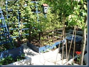 DSC00018