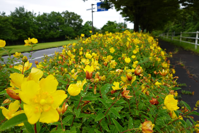 鳥取県西伯郡南部町鶴田