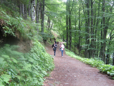 lac pavin - photobg  