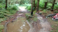 Watch that puddle and trees, the kitchener trail- by: © Paul c Walton 