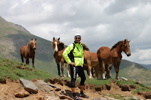 Cavalls "salvatges"