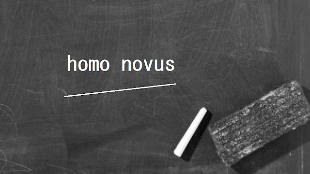 homo novus